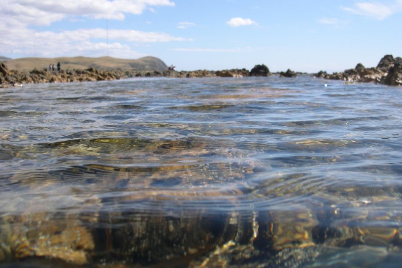 Sea and rocks, Plimmerton, New Zealand